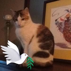 Meet your Posher, Janis